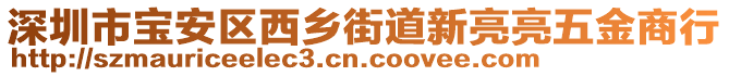 深圳市寶安區(qū)西鄉(xiāng)街道新亮亮五金商行