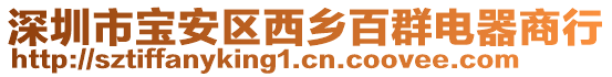深圳市寶安區西鄉百群電器商行