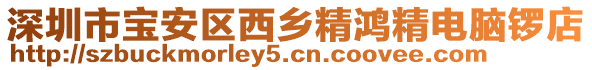深圳市寶安區西鄉精鴻精電腦鑼店