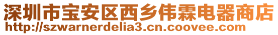 深圳市寶安區西鄉偉霖電器商店