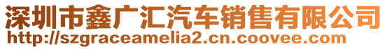 深圳市鑫廣匯汽車銷售有限公司