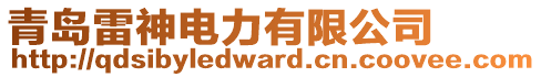 青島雷神電力有限公司