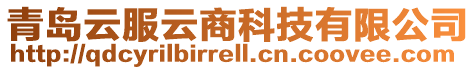 青島云服云商科技有限公司