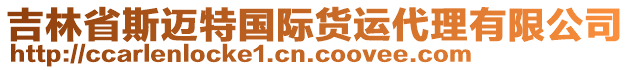 吉林省斯邁特國際貨運代理有限公司