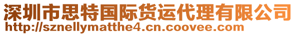 深圳市思特國(guó)際貨運(yùn)代理有限公司