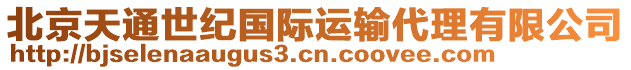 北京天通世紀(jì)國(guó)際運(yùn)輸代理有限公司