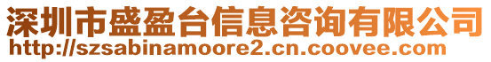 深圳市盛盈臺(tái)信息咨詢有限公司