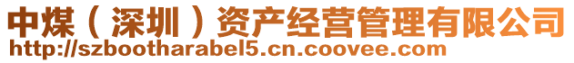 中煤（深圳）資產(chǎn)經(jīng)營(yíng)管理有限公司