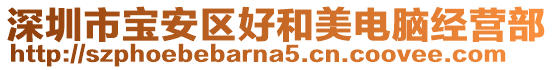 深圳市宝安区好和美电脑经营部