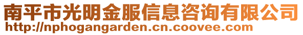 南平市光明金服信息咨詢有限公司