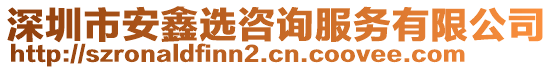 深圳市安鑫選咨詢服務(wù)有限公司