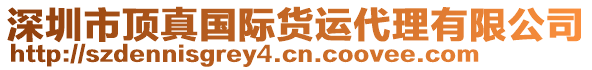 深圳市頂真國際貨運代理有限公司