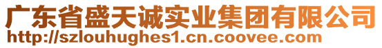 廣東省盛天誠實業(yè)集團有限公司