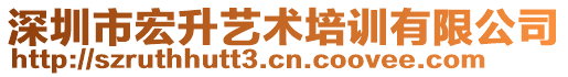 深圳市宏升藝術(shù)培訓(xùn)有限公司