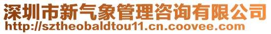 深圳市新氣象管理咨詢有限公司