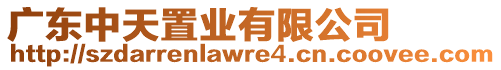 廣東中天置業(yè)有限公司