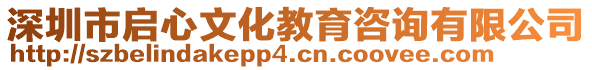 深圳市啟心文化教育咨詢有限公司