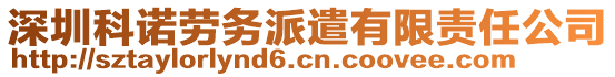 深圳科诺劳务派遣有限责任公司