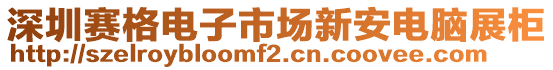 深圳賽格電子市場新安電腦展柜