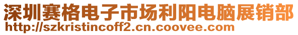 深圳賽格電子市場利陽電腦展銷部