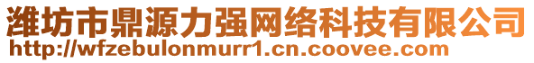 濰坊市鼎源力強(qiáng)網(wǎng)絡(luò)科技有限公司