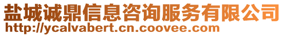 鹽城誠鼎信息咨詢服務有限公司