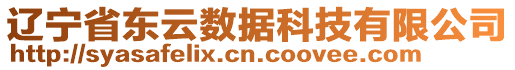 遼寧省東云數(shù)據(jù)科技有限公司