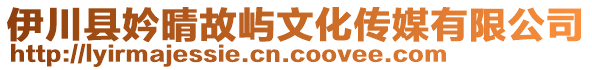 伊川縣妗晴故嶼文化傳媒有限公司