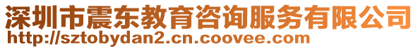 深圳市震東教育咨詢服務(wù)有限公司