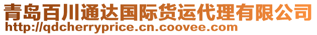 青島百川通達(dá)國(guó)際貨運(yùn)代理有限公司