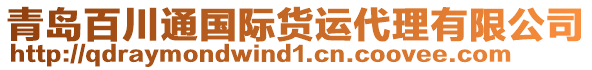 青島百川通國際貨運(yùn)代理有限公司