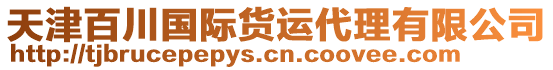 天津百川国际货运代理有限公司