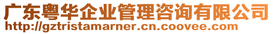 廣東粵華企業(yè)管理咨詢有限公司