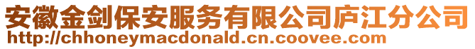 安徽金剑保安服务有限公司庐江分公司