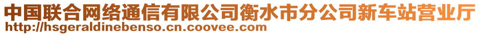 中國(guó)聯(lián)合網(wǎng)絡(luò)通信有限公司衡水市分公司新車站營(yíng)業(yè)廳