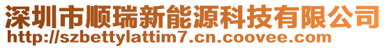 深圳市順瑞新能源科技有限公司