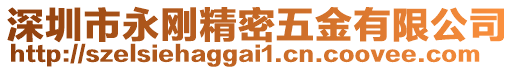 深圳市永剛精密五金有限公司