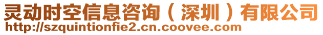 靈動時(shí)空信息咨詢（深圳）有限公司