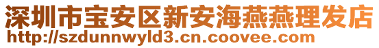 深圳市寶安區(qū)新安海燕燕理發(fā)店