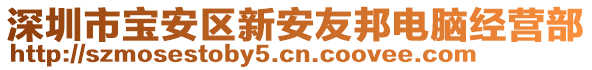 深圳市寶安區(qū)新安友邦電腦經營部