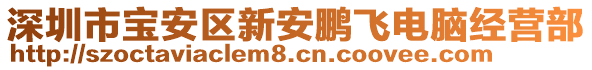 深圳市寶安區(qū)新安鵬飛電腦經(jīng)營部