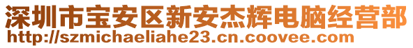 深圳市寶安區(qū)新安杰輝電腦經(jīng)營部