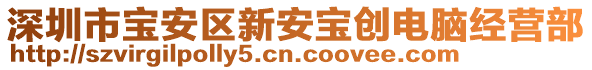 深圳市寶安區(qū)新安寶創(chuàng)電腦經(jīng)營部