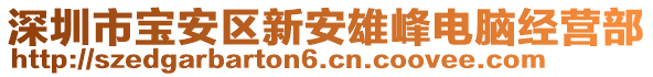 深圳市寶安區(qū)新安雄峰電腦經(jīng)營(yíng)部