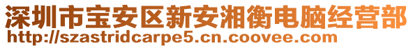 深圳市寶安區(qū)新安湘衡電腦經營部