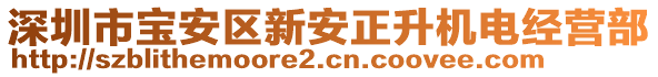 深圳市寶安區(qū)新安正升機(jī)電經(jīng)營部