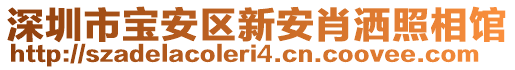 深圳市寶安區(qū)新安肖灑照相館