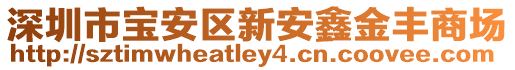 深圳市寶安區(qū)新安鑫金豐商場