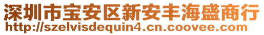 深圳市寶安區(qū)新安豐海盛商行