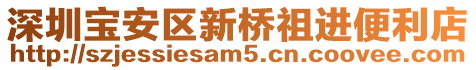 深圳寶安區(qū)新橋祖進便利店